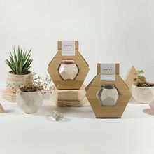 Marmolados. Un projet de Céramique, Design , Design graphique, Reliure et Illustration traditionnelle de Fruto Estudio - 05.01.2021