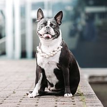Tuty y Greta. Un proyecto de Fotografía artística de xavizullen - 05.01.2021