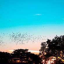 Amazonas. Photograph project by John Cruz Rivera - 01.05.2021