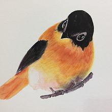Mi Proyecto del curso: Acuarela artística para ilustración de aves. Watercolor Painting project by Pilar Blasco Martínez - 01.07.2021