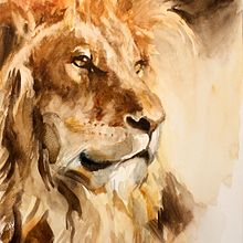 Lion. Un progetto di Disegno artistico, Belle arti, Illustrazione naturalistica, Disegno realistico e Pittura ad acquerello di Michele Bajona - 07.01.2021