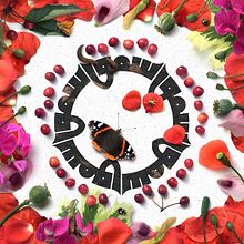 A Year with the Earth. Calligraph, and Photomontage project by Joumana Medlej - 12.31.2017