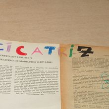 Cicatrices. Un progetto di Scrittura, Narrativa, Stor e telling di Larisa Cumin - 07.01.2015