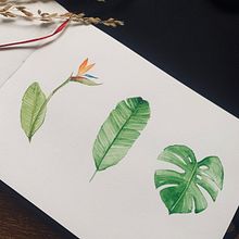 Pattern botânico . % Ricardo Torres tarafından hazırlanan Sulubo, Ve a Resim projesi - 01.07.2021