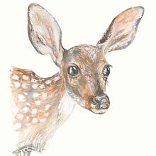Little Fawn & other animals. Watercolor Painting project by Laura O - 01.07.2021