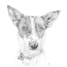 Retrato de mascotas. Portrait Drawing, and Traditional illustration project by Samantha Barbachano - 01.08.2021