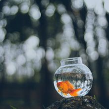 My project in Logo Design: From Concept to Presentation course . Publicitate și Design grafic de Cousin Marlene - 01.13.2021