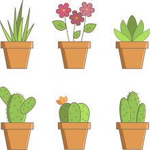 iconos Cactus.  project by Miriam Vinent Escandell - 03.01.2020