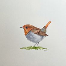 Bird . Watercolor Painting project by Keli DiRisio - 01.09.2021