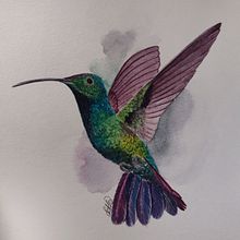 PC: Ilustración naturalista de aves con acuarela. Un progetto di Pittura ad acquerello, Illustrazione tradizionale, Disegno realistico e Illustrazione naturalistica di Lais Lima - 09.01.2021