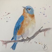 Little bird. Watercolor Painting project by Amé - 12.12.2020