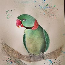 Le perroquet vert. Watercolor Painting project by Amé - 12.03.2021