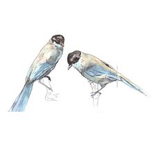 Ilustración naturalista. Un progetto di Illustrazione tradizionale, Disegno a matita, Pittura ad acquerello, Disegno realistico, Disegno artistico, Disegno anatomico e Illustrazione naturalistica di Rosa Pédebernade - 09.01.2021