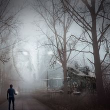 Misterio en la niebla. Projekt z dziedziny  Kompozycja w fotografii użytkownika irma_montes - 09.01.2021