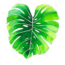 Mi Proyecto del curso: Acuarela botánica para estampados. Projekt z dziedziny Malowanie akwarelą użytkownika RAQUEL SALAMANCA BARRIO - 09.01.2021