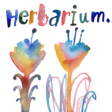 Herbarium. Botanical Illustration, and Children's Illustration project by lenka.lev.sevcikova - 01.10.2021
