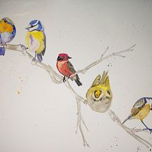 My project in Artistic Watercolor Techniques for Illustrating Birds course. Acr, lic Painting, and Watercolor Painting project by Cheryl-Anne Miller - 01.10.2021