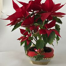 Mi Proyecto del curso: Creación de muebles en concreto para principiantes Ein Projekt aus dem Bereich Architektur von arq_eric_fernandez - 10.01.2021