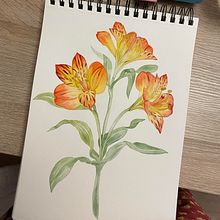Mi Proyecto del curso: Acuarela botánica: ilustra la anatomía de las flores. Un projet de Illustration botanique , et Aquarelle de Victoria CV - 23.01.2021
