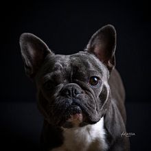 Fotos Projeto final - Fotos Nia. Un progetto di Fotografia di ritacscampos - 11.01.2021