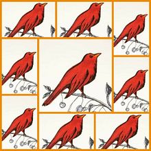 Mi Proyecto del curso: Merlas, bayas y mucho árbol. Pintura projeto de Chris - 11.01.2021