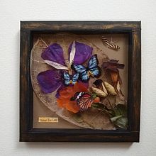 Mi Proyecto del curso: Técnicas básicas de prensado botánico. Projekt z dziedziny Craft i  Kolaż użytkownika Ana Karina Moreno - 11.01.2021