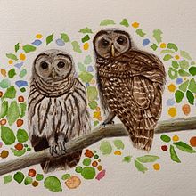 My project in Artistic Watercolor Techniques for Illustrating Birds course. Watercolor Painting project by adlermark - 01.12.2021