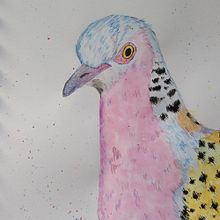 My projects in Sarah Stokes' Artistic Watercolor Techniques for Illustrating Birds course. Watercolor Painting project by cathalijn - 01.12.2021
