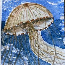 Transparency & texture & movement - a compass jellyfish. Watercolor Painting project by wboot - 01.12.2021
