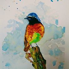 Mi Proyecto del curso: Acuarela artística para ilustración de aves Ein Projekt aus dem Bereich Traditionelle Illustration von dogosdoneloy - 13.01.2021