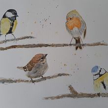 My project in Artistic Watercolor Techniques for Illustrating Birds course. Ilustração botânica, Ilustração tradicional, e Pintura em aquarela projeto de Janneke Vrijdag - 13.01.2021