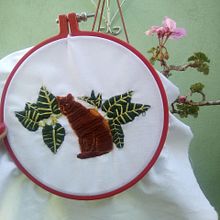 Mi Proyecto del curso: Introducción al bordado botánico. Un projet de Créativité de Anabel - 16.01.2021