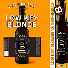 THAT BOLD BEER - Branding + Label Design + Marketing. Br, ing, Identit, Digital Marketing & Instagram Marketing project by Agustin Sapio - 01.14.2021