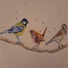 My project in Artistic Watercolor Techniques for Illustrating Birds course. Un progetto di Illustrazione tradizionale di Ally Wragg - 14.01.2021