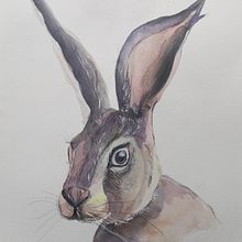 CONEJO. Un proyecto de Ilustración tradicional de Montserrat Torres Rodríguez - 08.09.2020