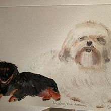 Living the dream. Un proyecto de Pintura a la acuarela de Susan Marsh - 15.01.2021