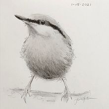 My project in Artistic Watercolor Techniques for Illustrating Birds course. Un progetto di Disegno e Pittura ad acquerello di Jan Helton - 20.01.2021
