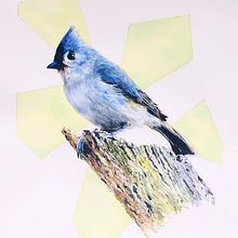 My project in Artistic Watercolor Techniques for Illustrating Birds course. Watercolor Painting project by Hayden Oliver - 01.16.2021