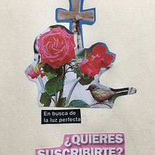 Síntesis Confesión. Collage project by Carolina Parada - 01.16.2021