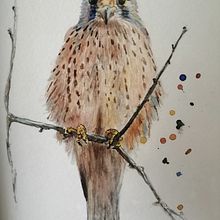 Mi Proyecto del curso: Acuarela artística para ilustración de aves. Fine Arts, and Watercolor Painting project by Veronica Carrasco - 04.10.2021