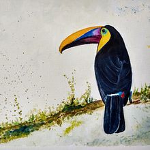 ILUSTRACION DE AVES CON ACUARELA . Un proyecto de Ilustración tradicional de dogosdoneloy - 17.01.2021