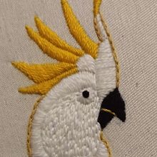 Cacatua en proceso. Un projet de Animation 3D , et Broderie de maria_cecilia_rocco - 18.01.2021