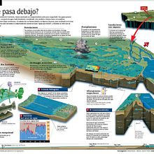 Esteros del Iberá infografía. Un projet de Infographie de Marcelo Regalado - 18.01.2021