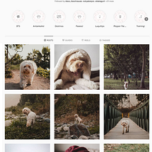 Mi proyecto de fotografía: Luca. Photograph, Outdoor Photograph & Instagram Photograph project by Odile Pallette - 01.18.2021