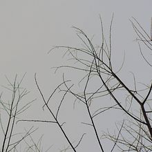 Mi Proyecto [ausencia-presencia]: fotografía narrativa . Un progetto di Fotografia e Fotografia artistica di Christine Cavi - 19.01.2021