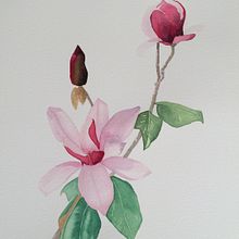 Mi Proyecto del curso: Ilustración botánica con acuarela. Un proyecto de Ilustración tradicional de marinapaje - 19.01.2021