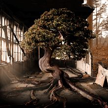 Mi Proyecto del curso: Secretos del fotomontaje y el retoque creativo. Photomontage project by Marcelo Trinidad Bailon - 01.19.2021