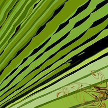 Garraf. Un progetto di Illustrazione naturalistica, Pittura acrilica e Pittura digitale di Ana - 20.01.2021