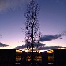 Mi Proyecto del curso: Fotografía minimalista para Instagram. Un projet de Photographie, Photographie artistique, Photographie numérique , et Photographie extérieure de Jorge Linares - 21.01.2021