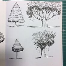 Meu projeto do curso: Desenho para principiantes nível -1. Een project van  Ontwerp van Carolina Delgado - 21.01.2021